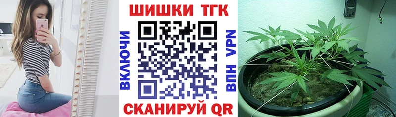Бошки марихуана AK-47 закладка Гусиноозёрск
